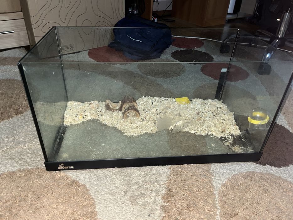 vand acvariu diversa