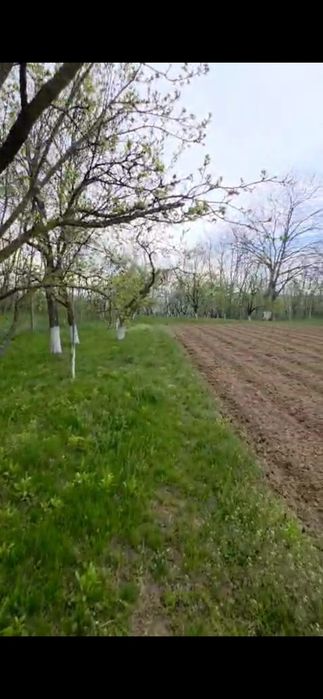 Vând teren intravilan 1700mp