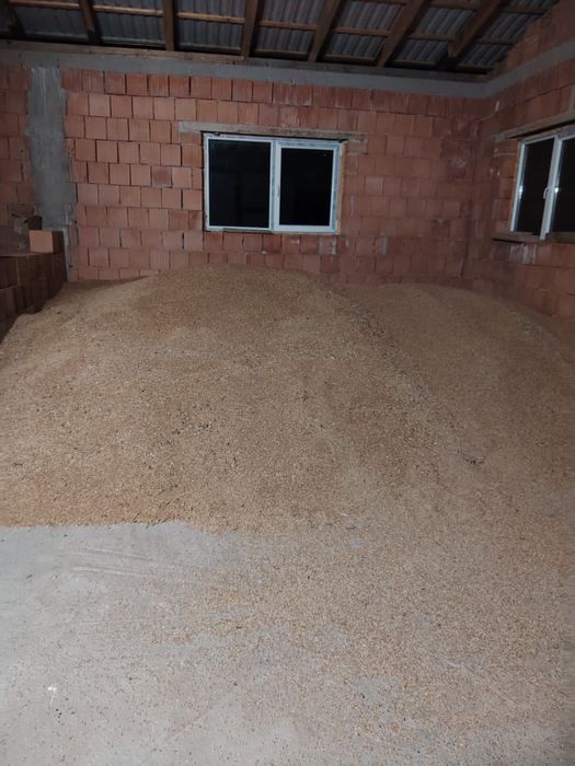 Vând grâu și triticale