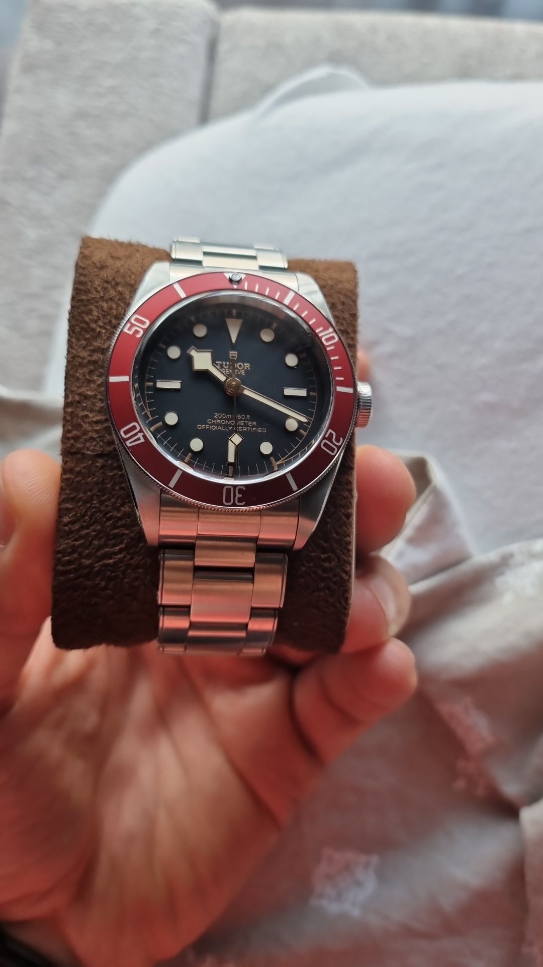 Tudor black bay 79230R