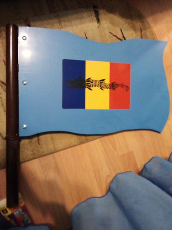 Steag tip pancarta România