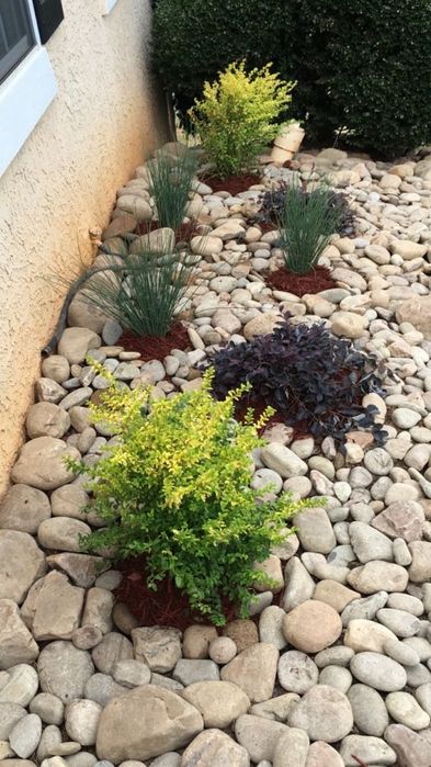 Amenajări Grădini Complete – Plante, Gazon, Piatra Naturală!