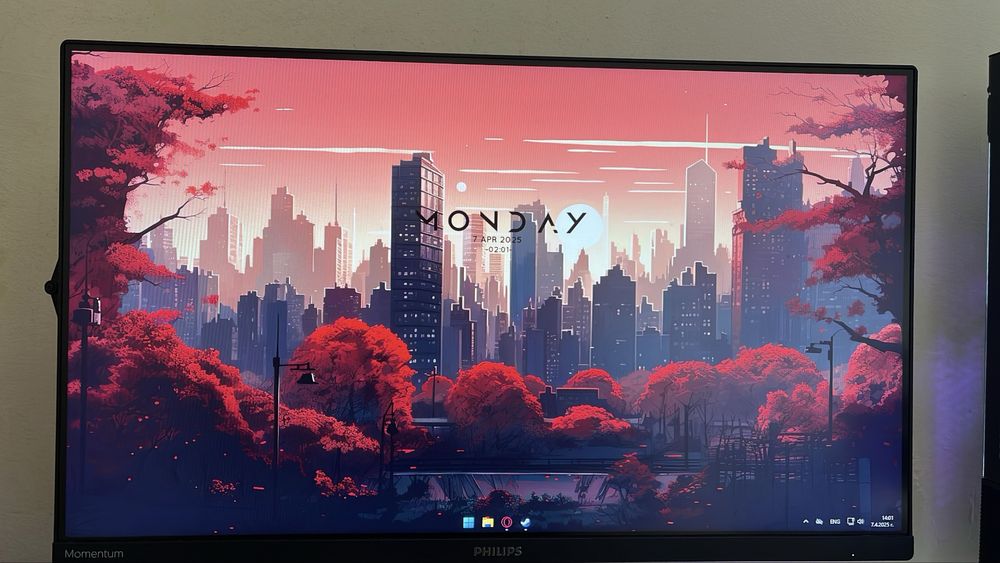 Монитор Philips Momentum 3000 165hz Full HD