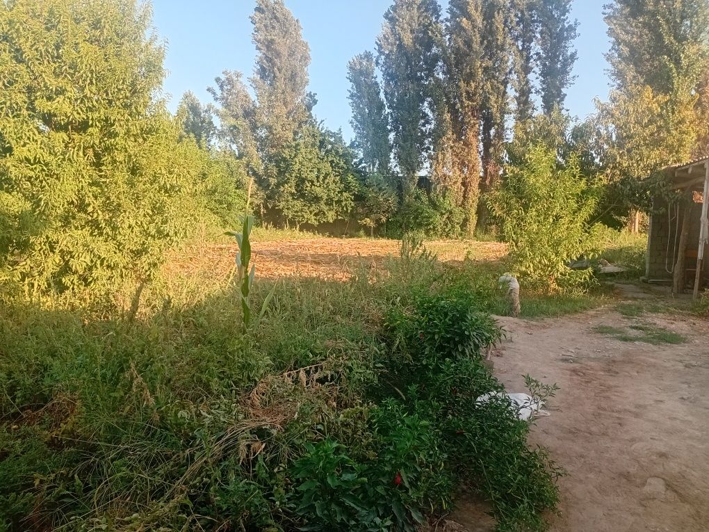 Уй жой 15сотих. Янги йул. Бетонка буйи