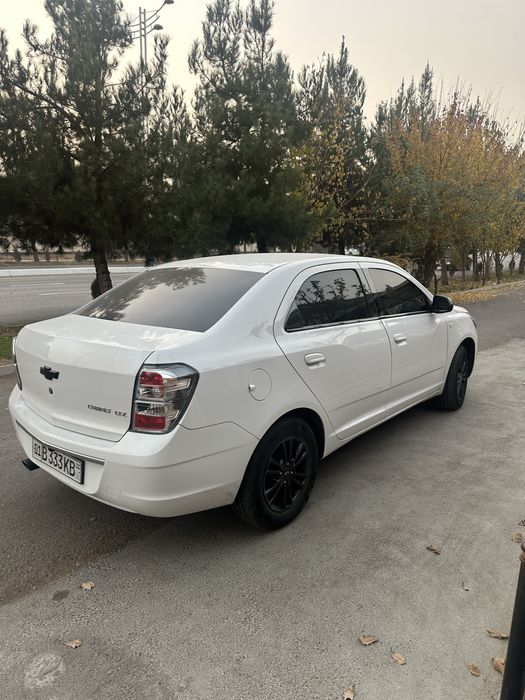 COBALT midningt 2025