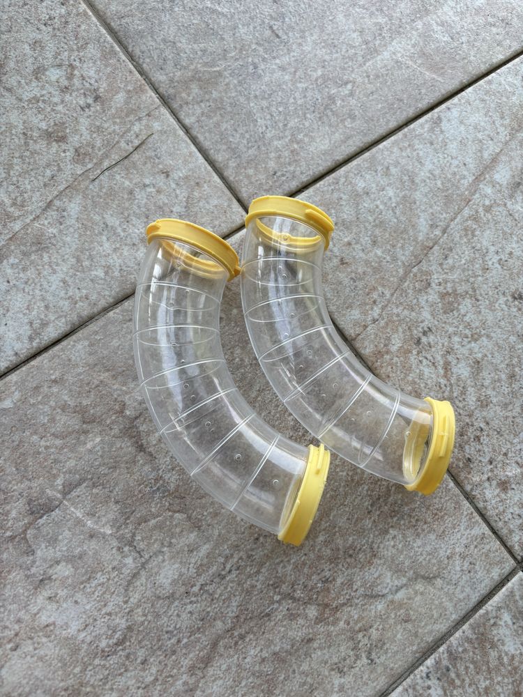 Cusca hamsteri cu tot ce va trebuie