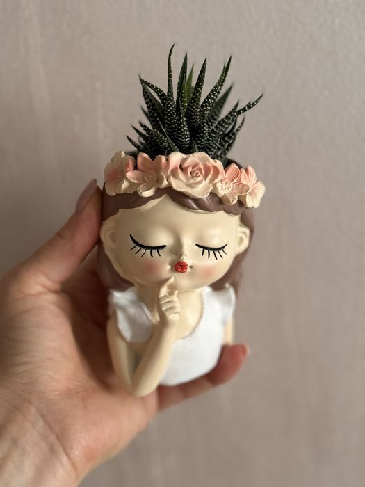 Комнатные растения интерьерные