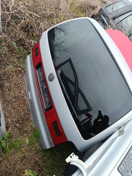 Haion Sharan 2003 și beetle 2003