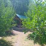 Zomin dacha, Zomin sanatoriyasi yaqinida