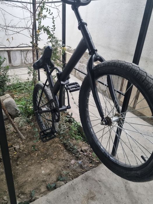 Custom Qora bmx.