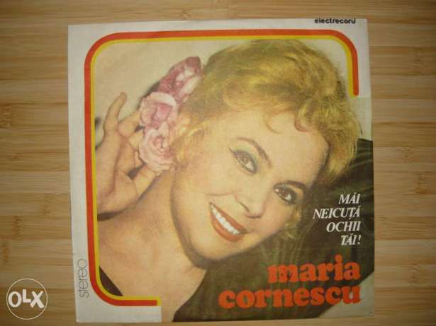 Discuri de vinil Muzica populara 100 discuri