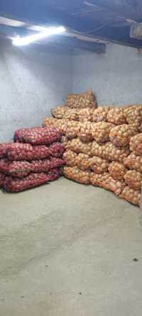 Cartofi consum alb rosu