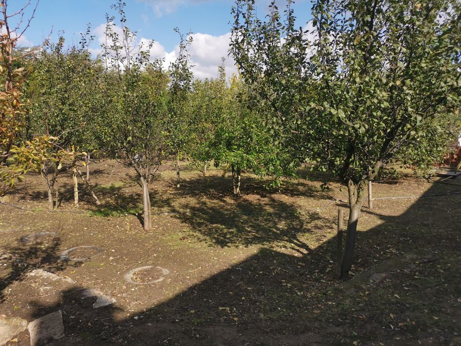 Продавам къща в село Пелишат, Плевенско