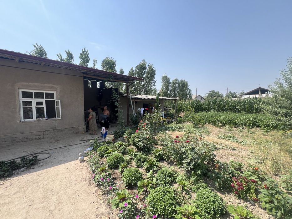 Дала ховлисотилади