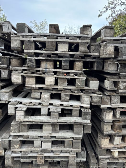 Vand paleti 5 lei/buc