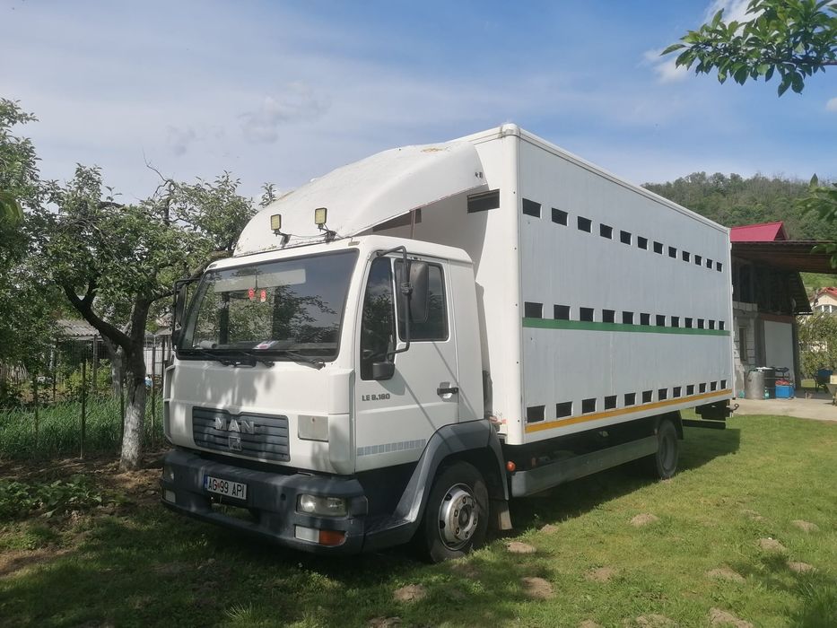 Camion MAN 7,5 tone omologat apicol
