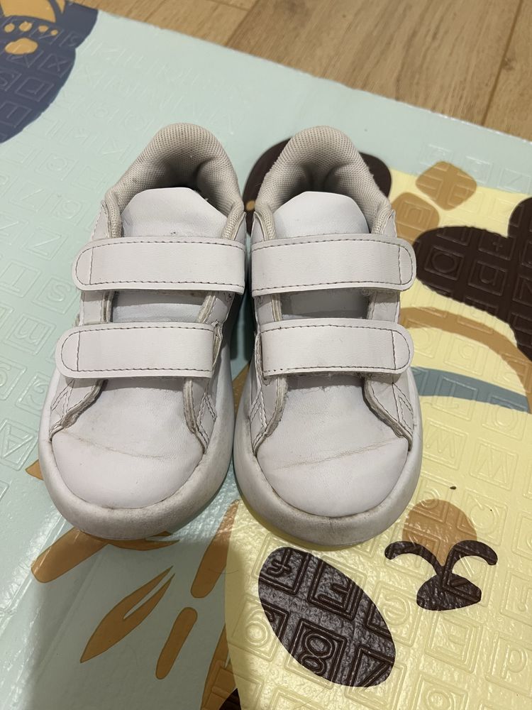 Adidas 24 Bubble