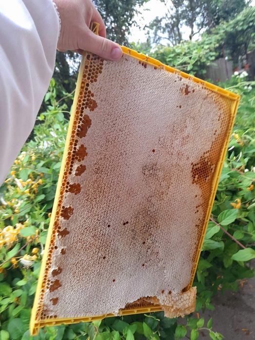 Vand miere diverse sortimente