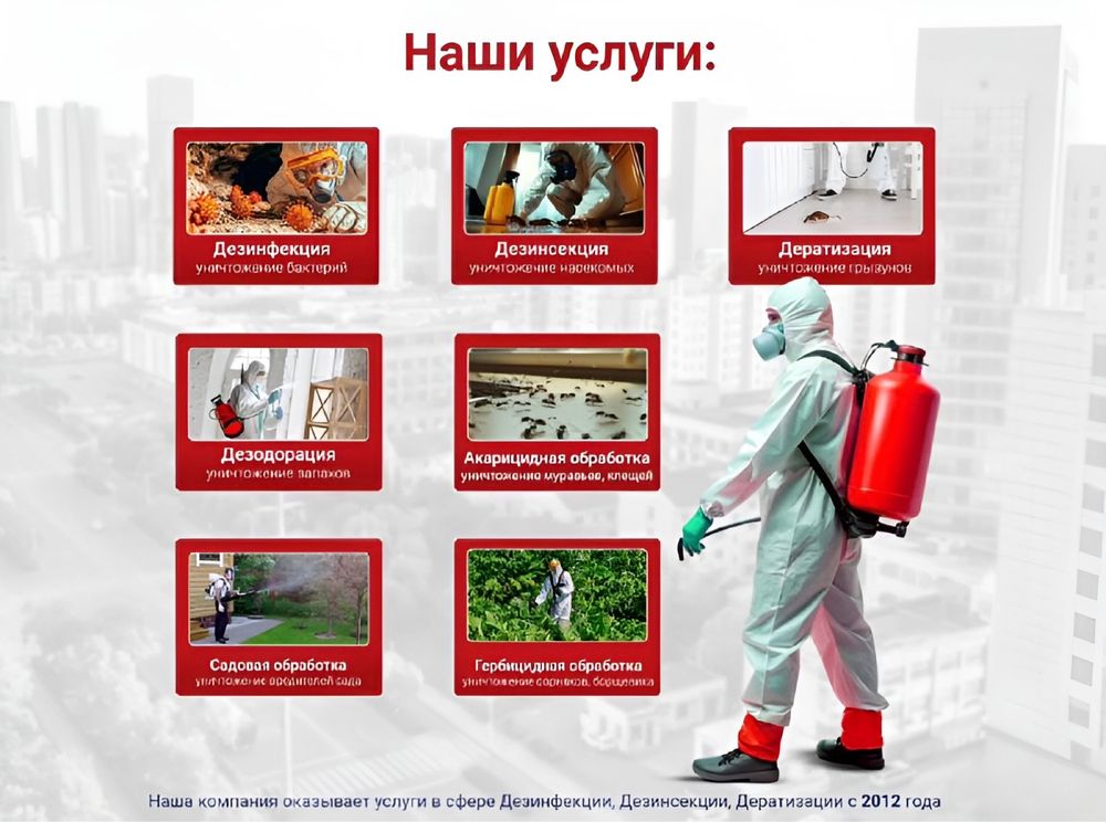 Дезинфекция уничтожение от тараканов клопов блох крыс мышей Обработка