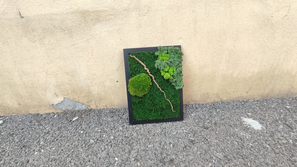 Tablou cu mușchi si licheni stabilizati