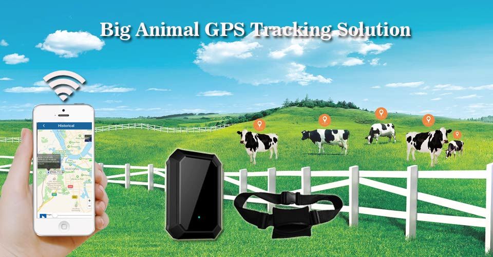 GPS трекер - ошейник для крупных животных с солнечными панелями.