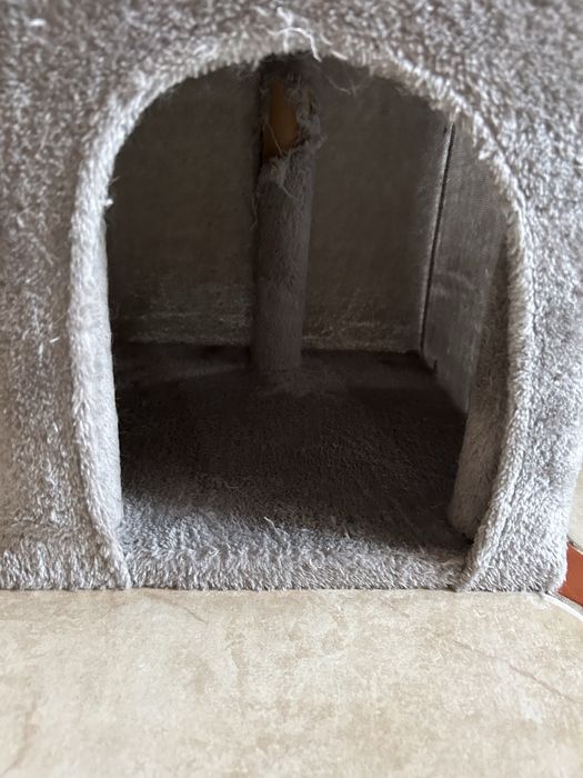 Котешка катерушка в добро състояние