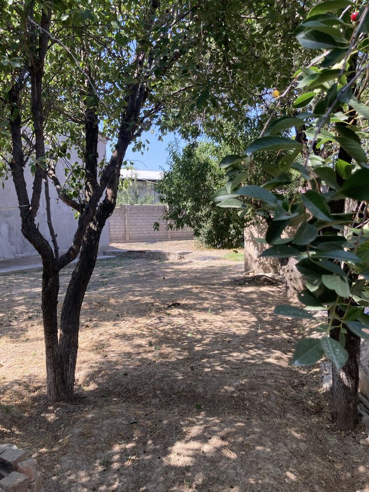 Toshkent tumani Xasanboyda uy sotiladi
