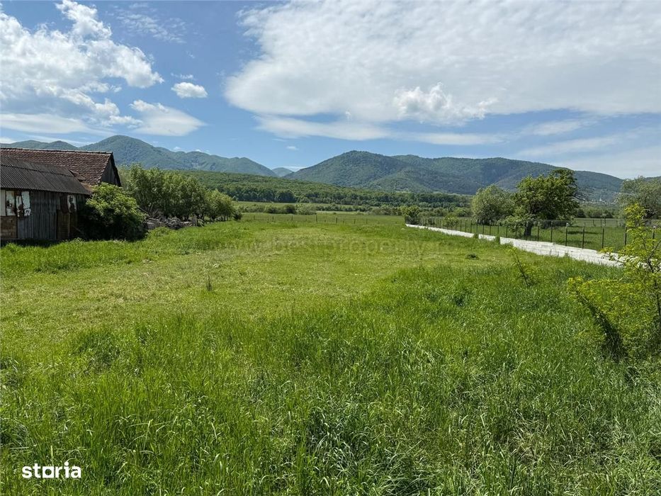 Teren intravilan de vanzare 3000mp, Sacel