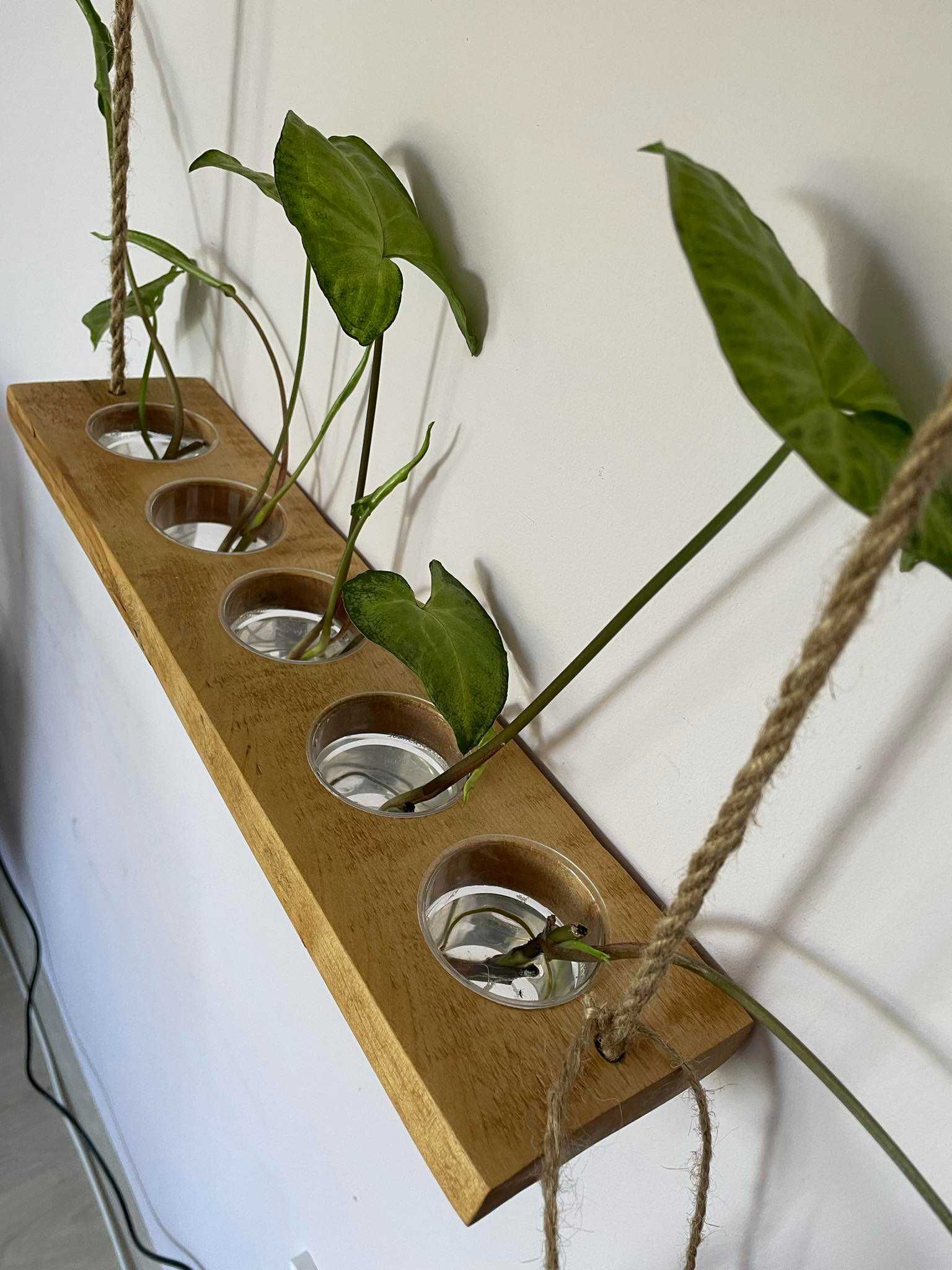 Handmade цветарник за водно размножаване с 10 отвора