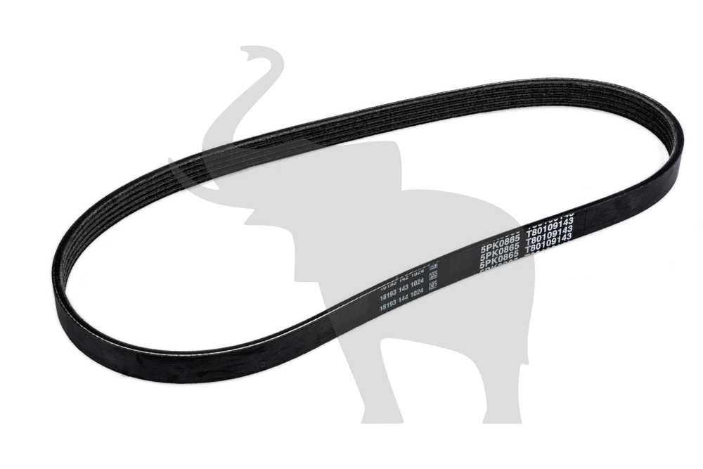 Curea motor agregat frigorific TKM Schmitz Cargobull