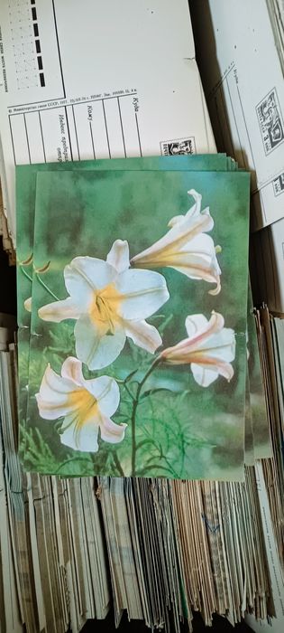 Советские открытки 1966г.