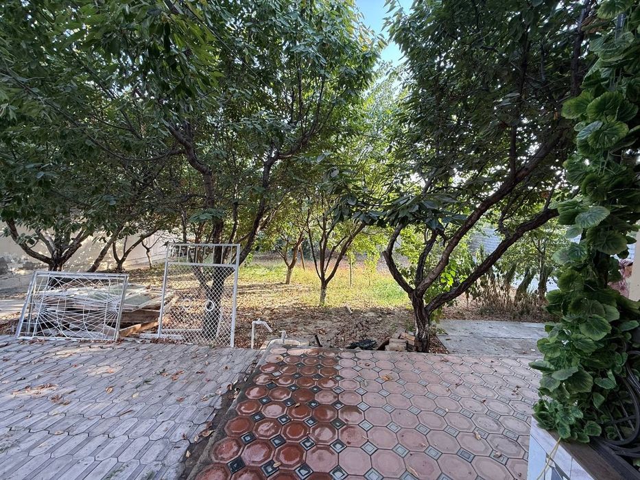 Dacha Srochna Parkentda