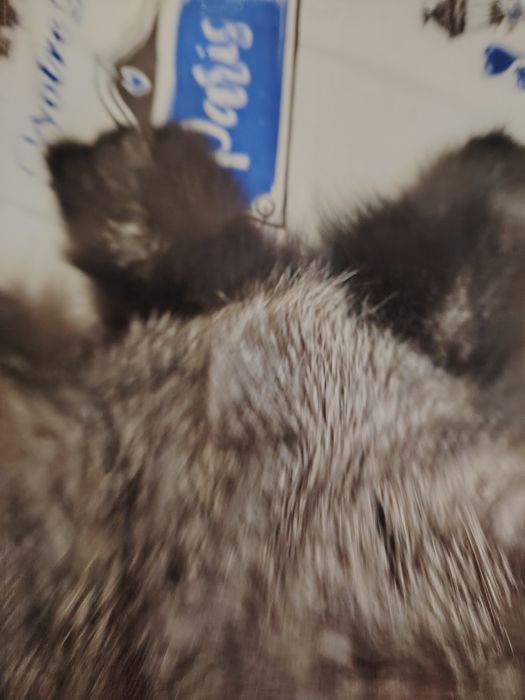 Мех чернобурка цельный