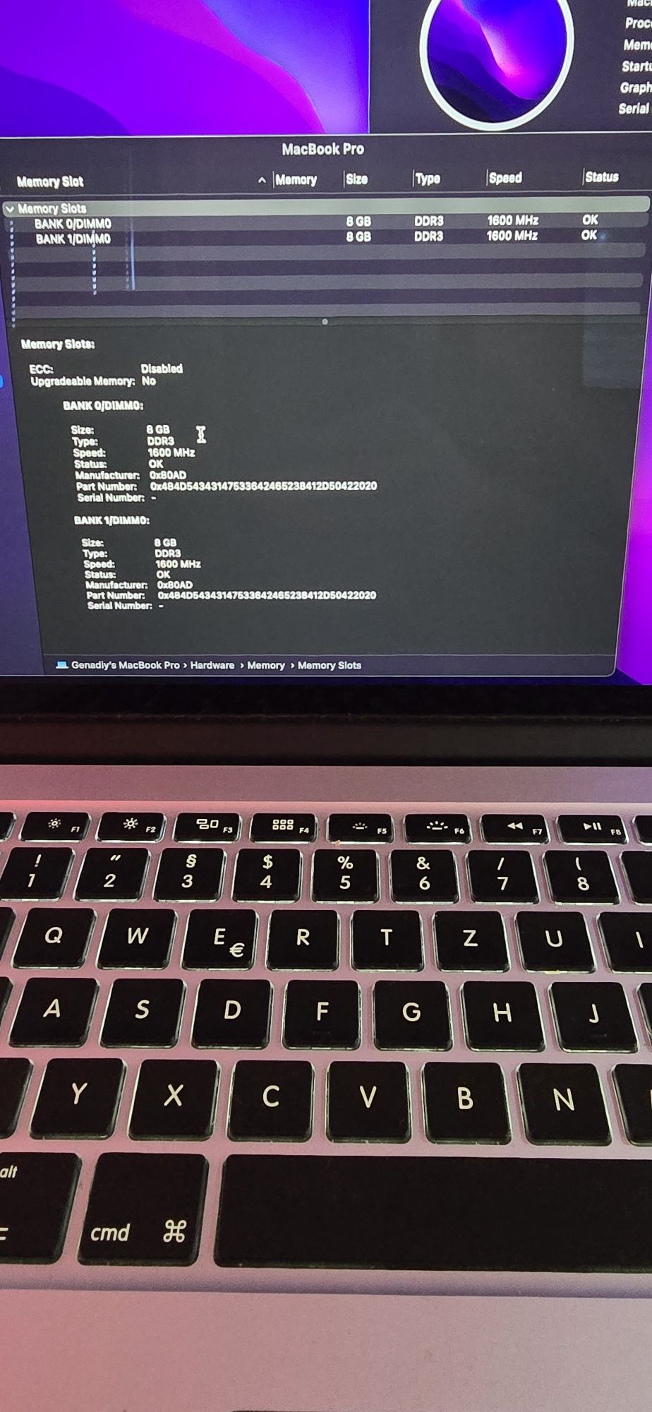 MacBook Pro mid 2015 dual graphics