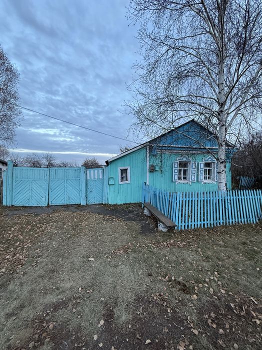 Продается дом в с.Покровка