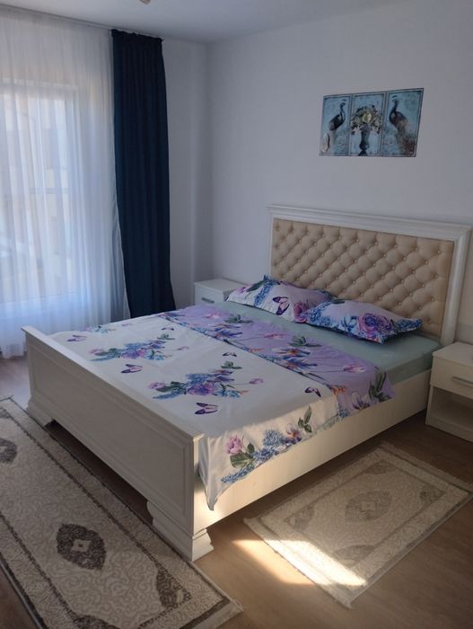 Cazare Cabana Vila Colibita