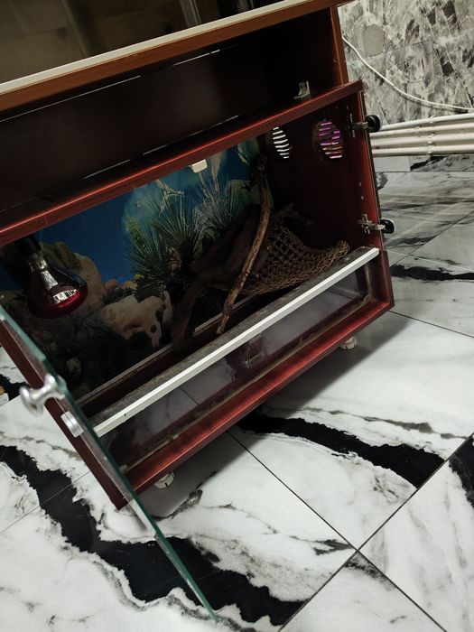 Vând terariu reptile terarii