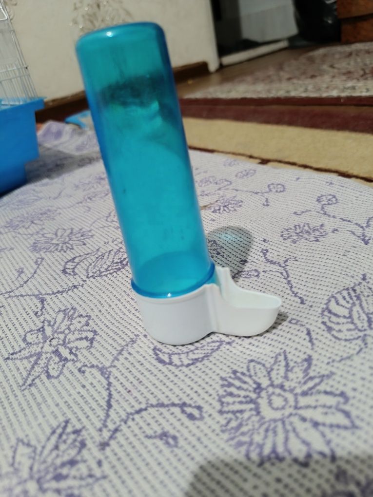 Qushlar uchun qafas