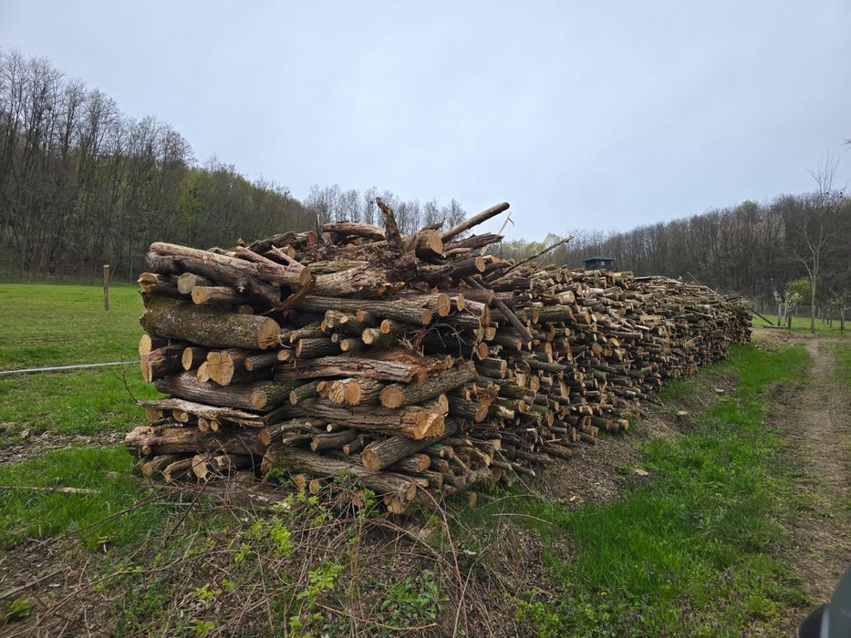 Lemne de foc – Paltin, Salcâm, Carpen – tăiate la 1 m