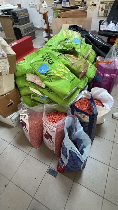 Seminte de Porumb Olt Tratat