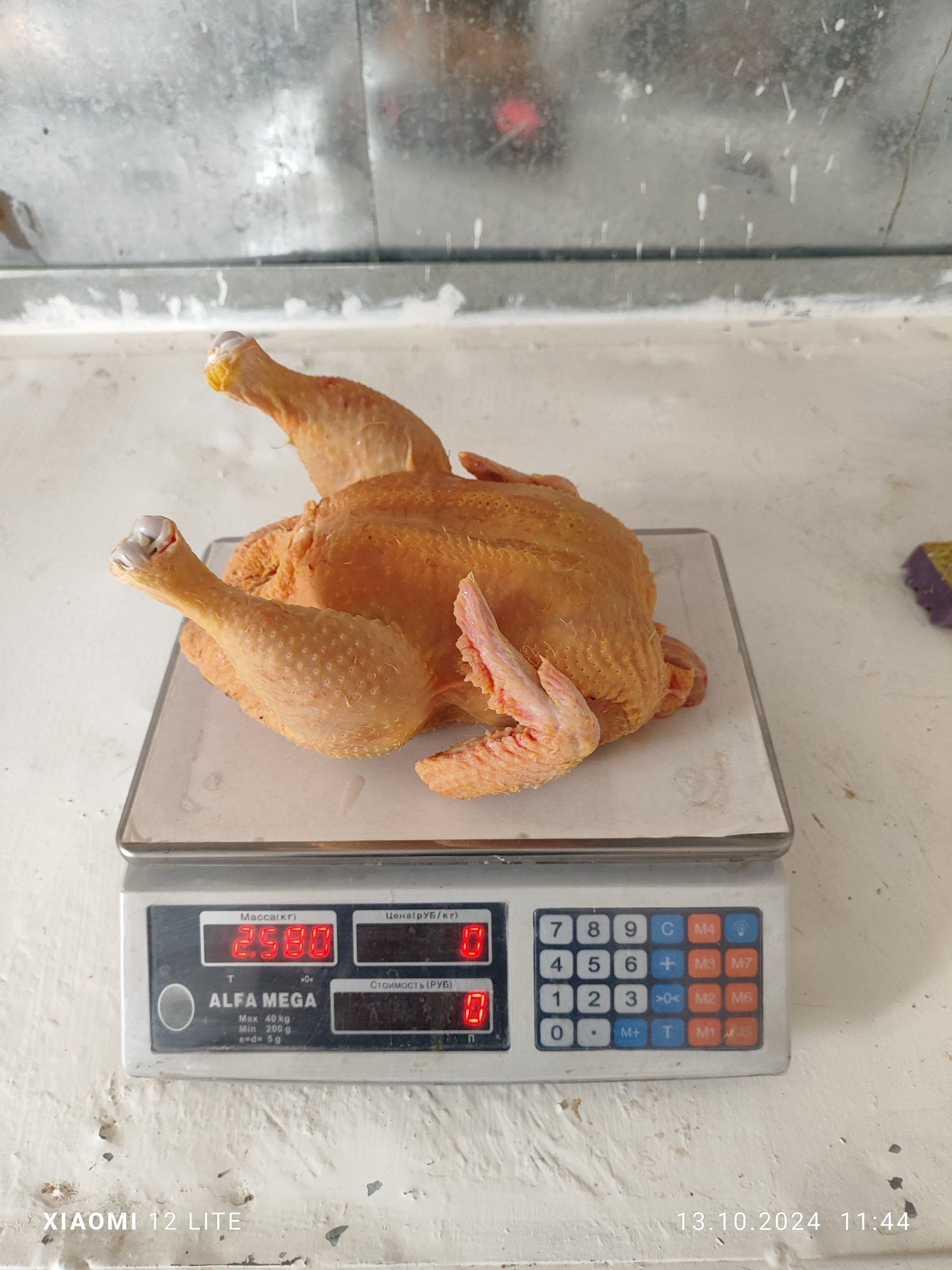 Мясо домашних бройлеров