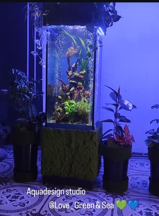 В продаже Аквариум Колонна