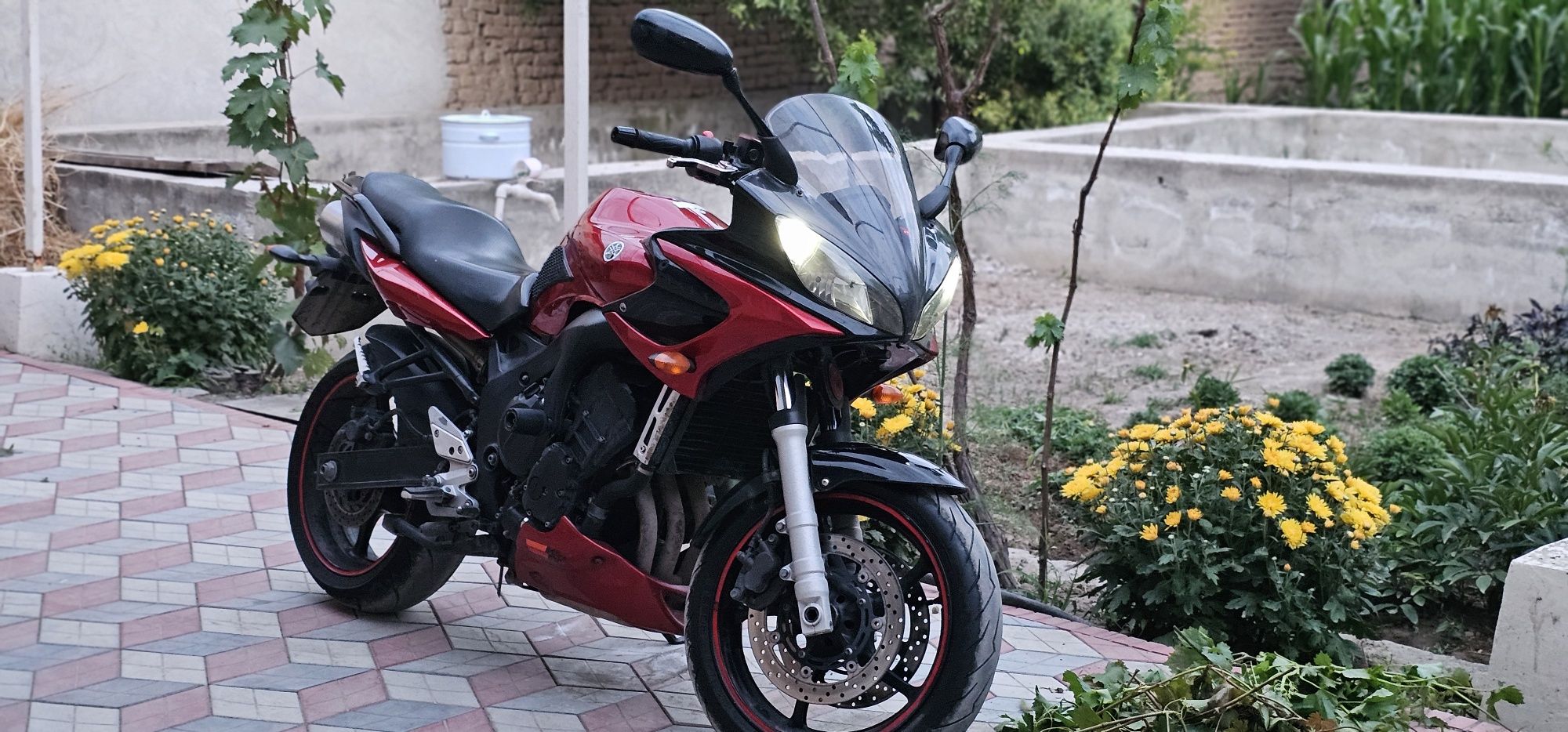 Yamaha Fazer 6s 2006, Dokumenti bilan