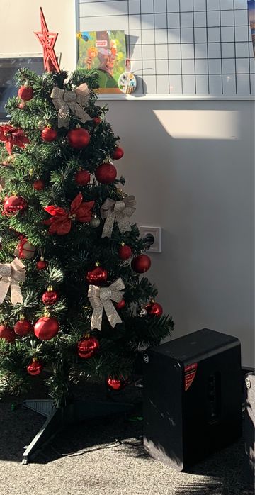 Коледни елхи и украса