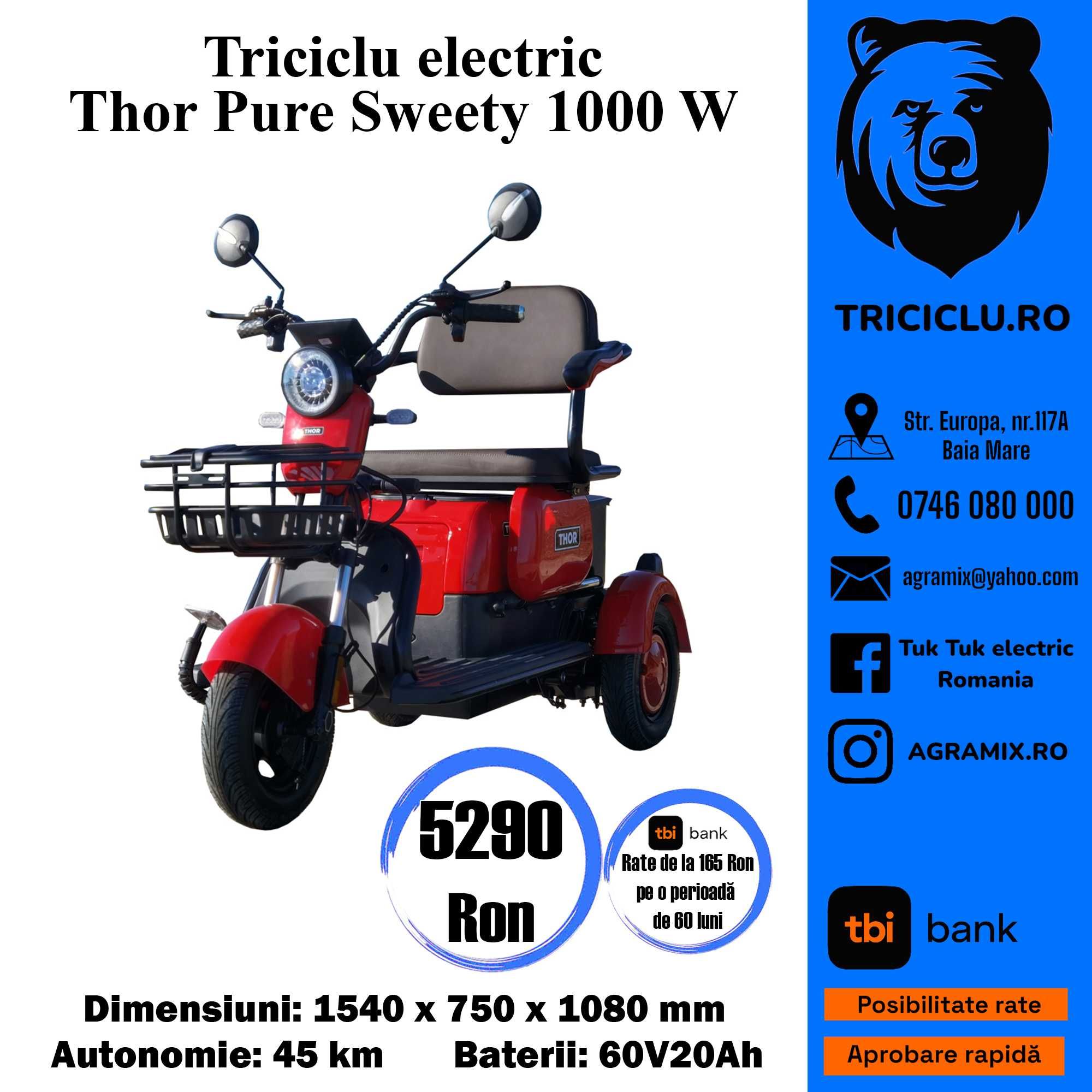 Triciclu electric 1000W 60V20AH THOR PURESWEETY Agramix