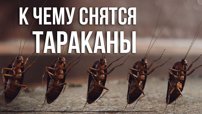 Гель от тараканов advion cockroach gel syngenta