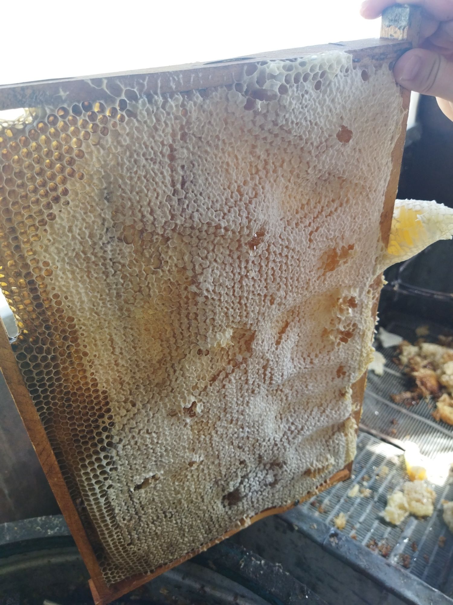 Продам свежий натуральный со своей пасики мёд