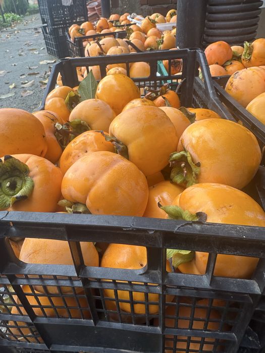 Райски ябълки – пресни и сладки! 2 лв/кг