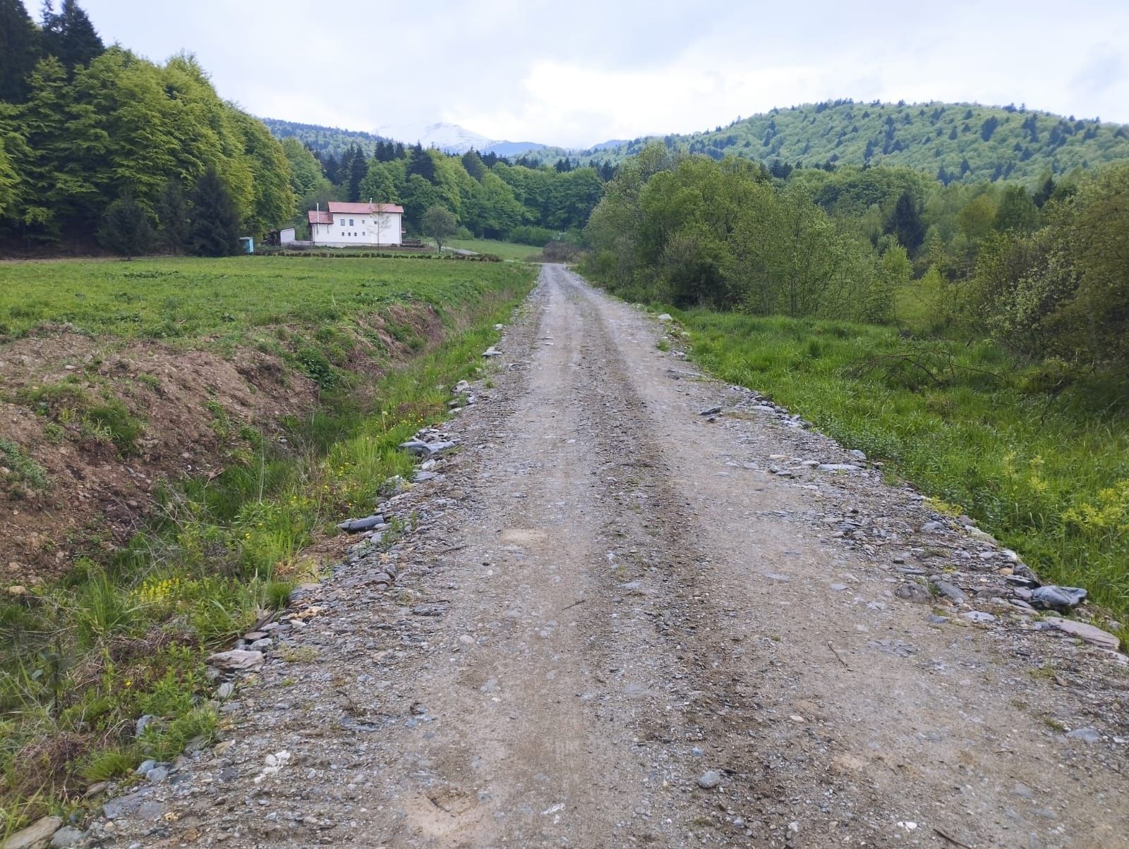 Vând teren in Stațiunea Climaterica Sâmbăta de Sus