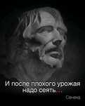 Курсы веб програмирования ИТ php mysql html css. Github.      График д